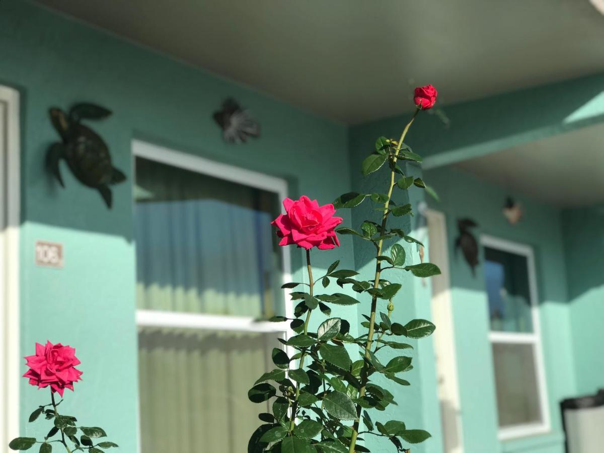 Immokalee Inn Exteriör bild